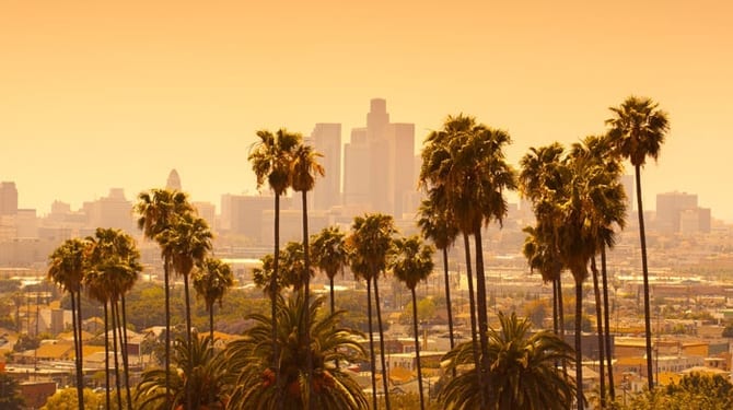 palmiers de Los Angeles