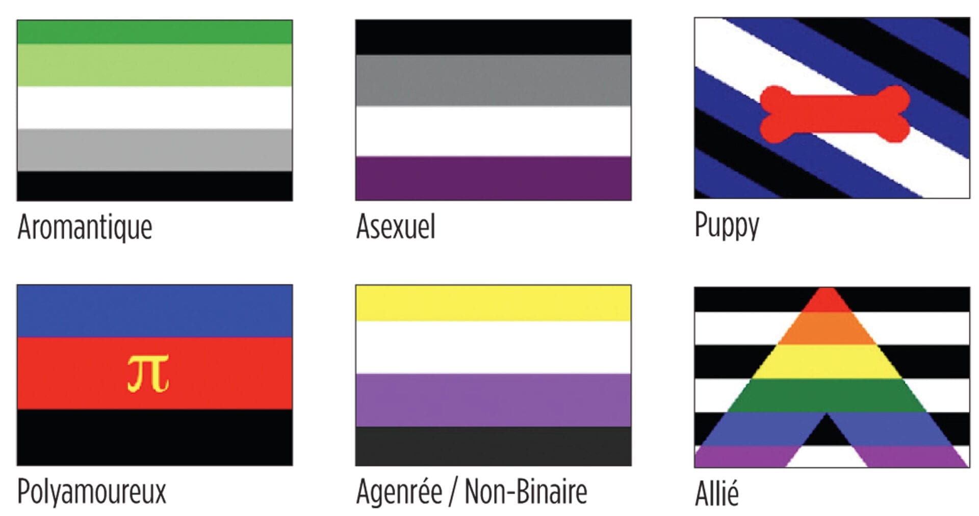 Tout ce que vous avez toujours voulu savoir sur les drapeaux de fierté LGBT… Fugues