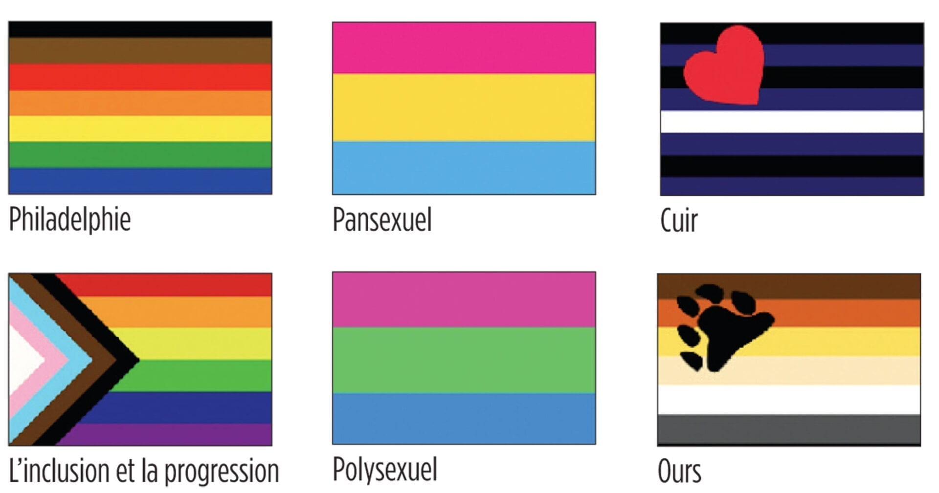 Drapeau gay, lesbien, trans, aro… Couleurs et signification