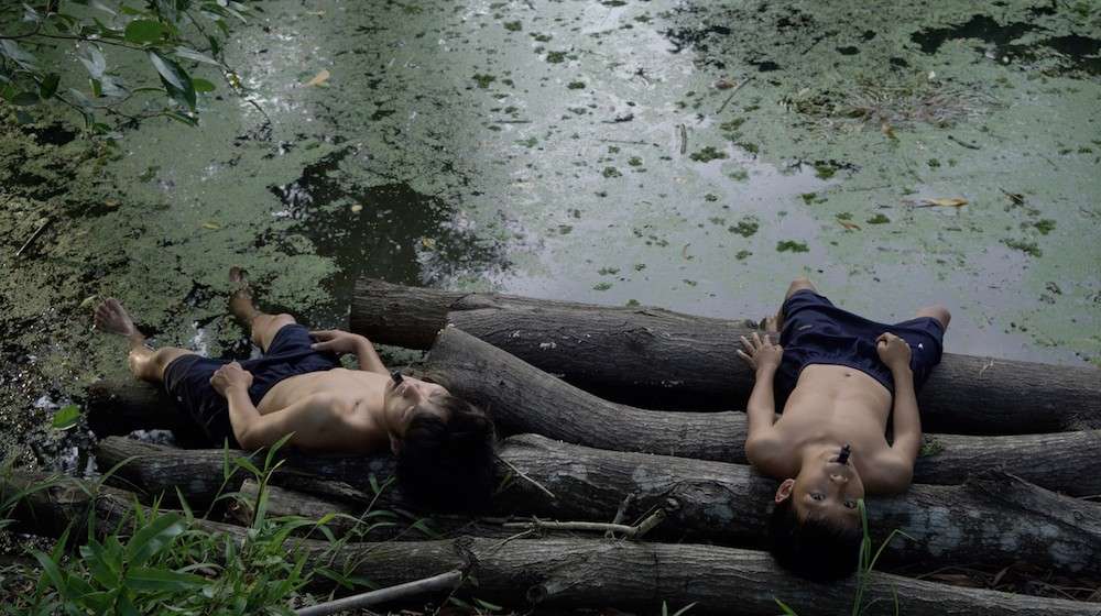 La 17e édition de la biennale : Quand la nature ressent