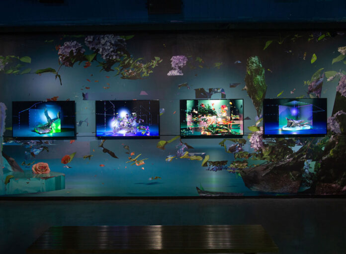 femmes-volcans-forets-torrents