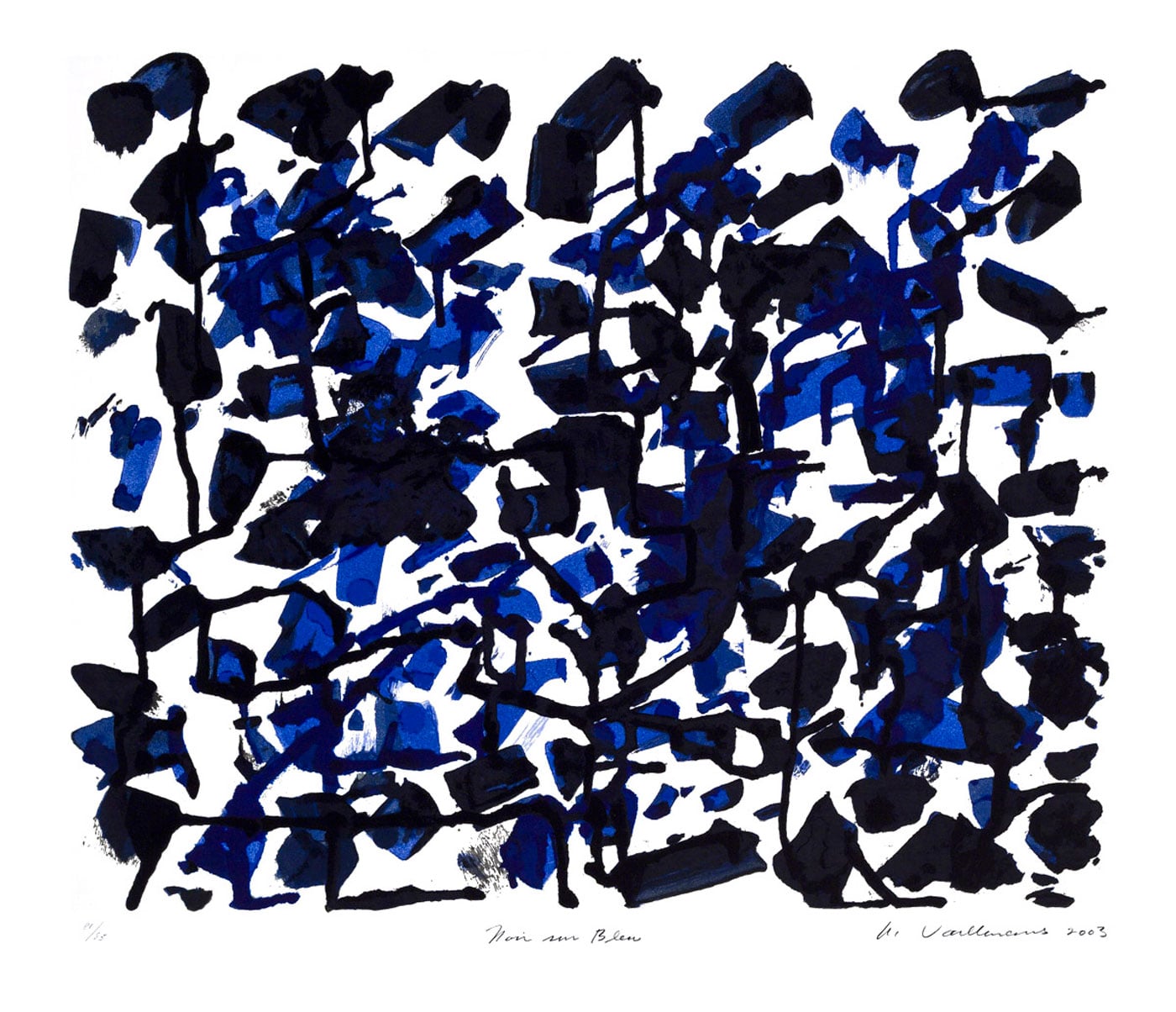 seri_noir-sur-bleu_2003_0