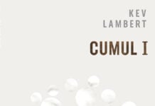 Cumul I (La vie coupable)