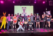 Week-end Pup Montréal, dix ans de fierté sur quatre pattes